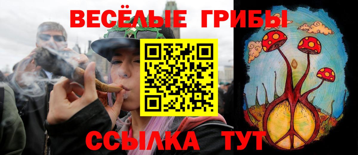 Галлюциногенные грибы мухоморы Тельмана