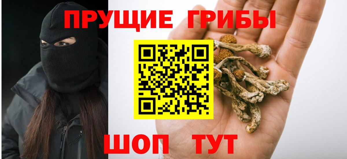 Галлюциногенные грибы Psilocybine cubensis  закладка  Тельмана  Вход с VPN  Псилоцибиновые грибы MAGIC MUSHROOMS 